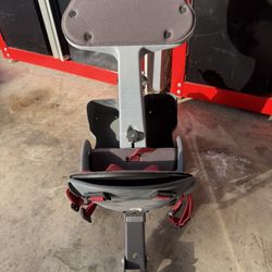 weeride kangaroo child bike seat