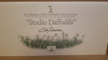 "Studio Daffodils" Bob Timberlake 3029/3500