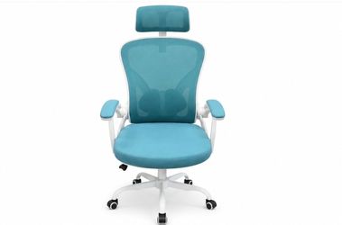 Teal Mesh Ergonomic Office Chair with headrest
