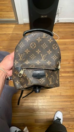 Louis Vuitton Monogram Canvas Palm Springs Mini Backpack