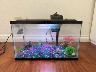 10 Gallon Fish Tank