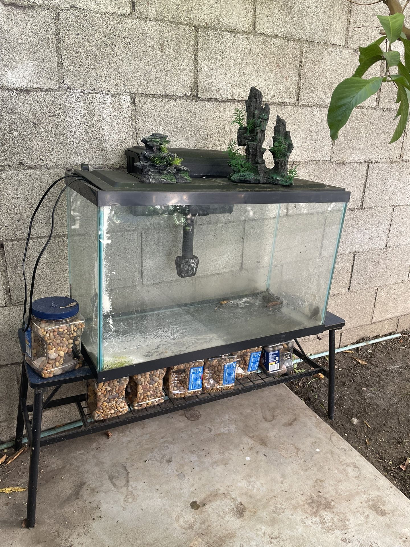 30 Gallon Glass Aquarium