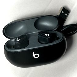 Beats Studio Earbuds Model A2514