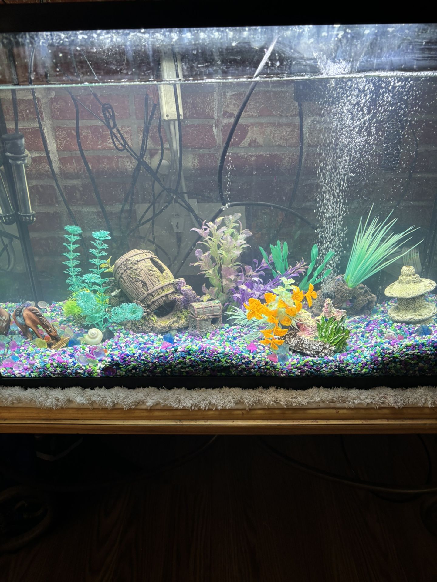 30 Gallon Fish Tank with everything you need except the fish