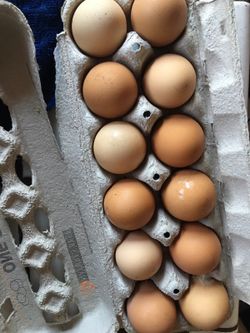 Natural brown eggs