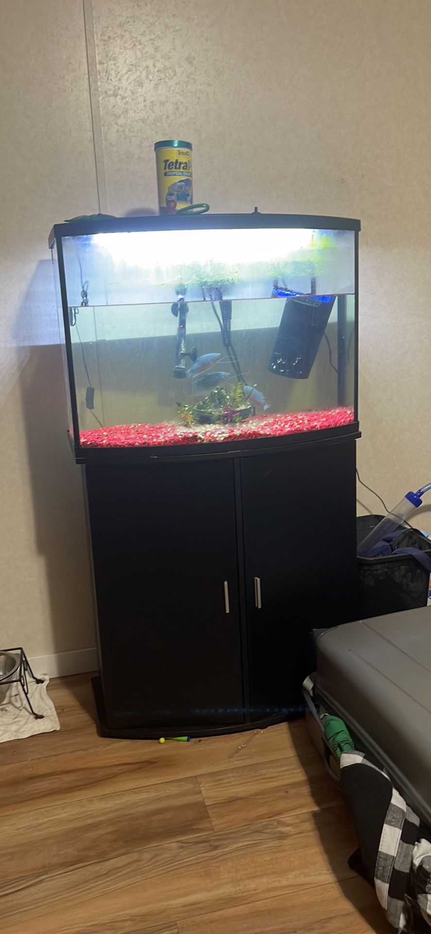 36 Gallon Fish Tank