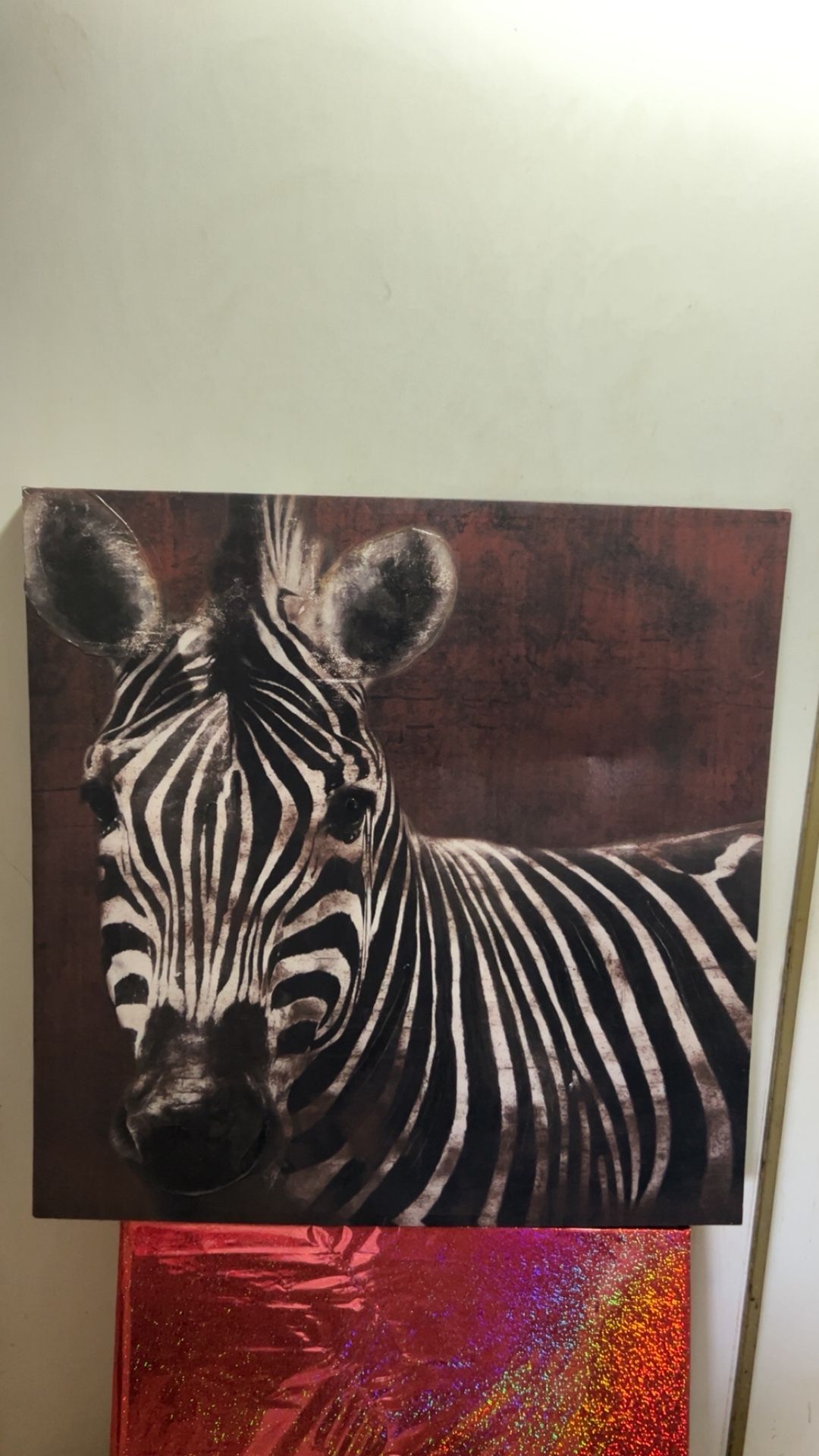 zebra frame.
