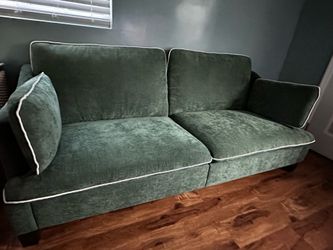 Sage green couch