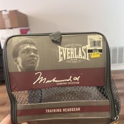 Everlast Boxing Gloves And Helmet