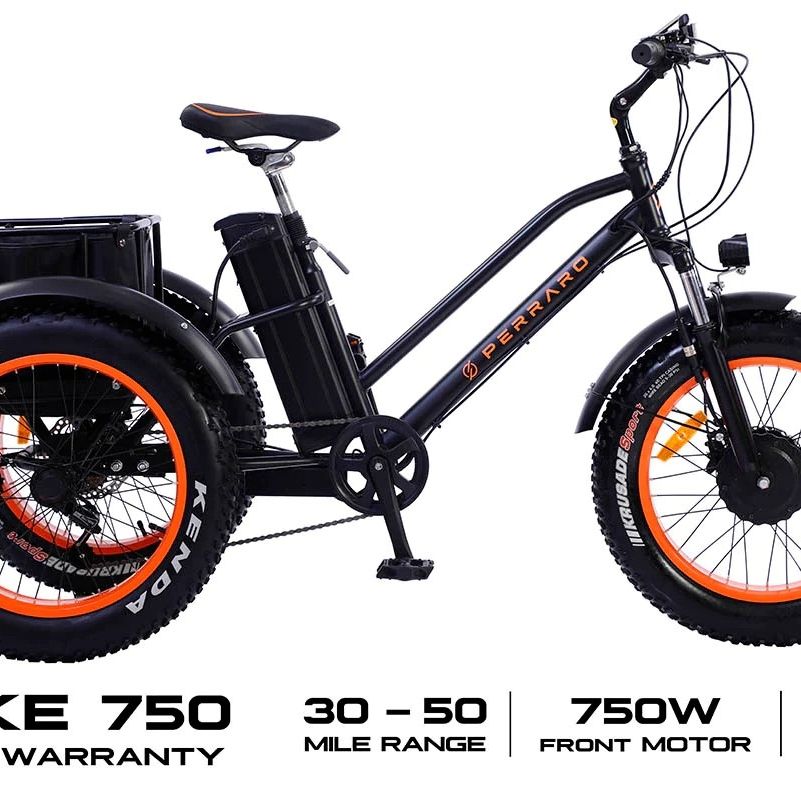 Trike Electric Bike 750W
