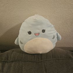 Shark Squishmellow 