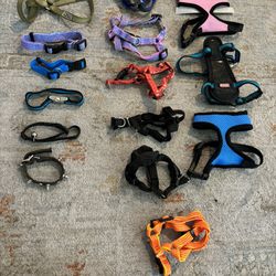 Lot Of 15 Various Types And Sizes  Dog Harness’ And Collars