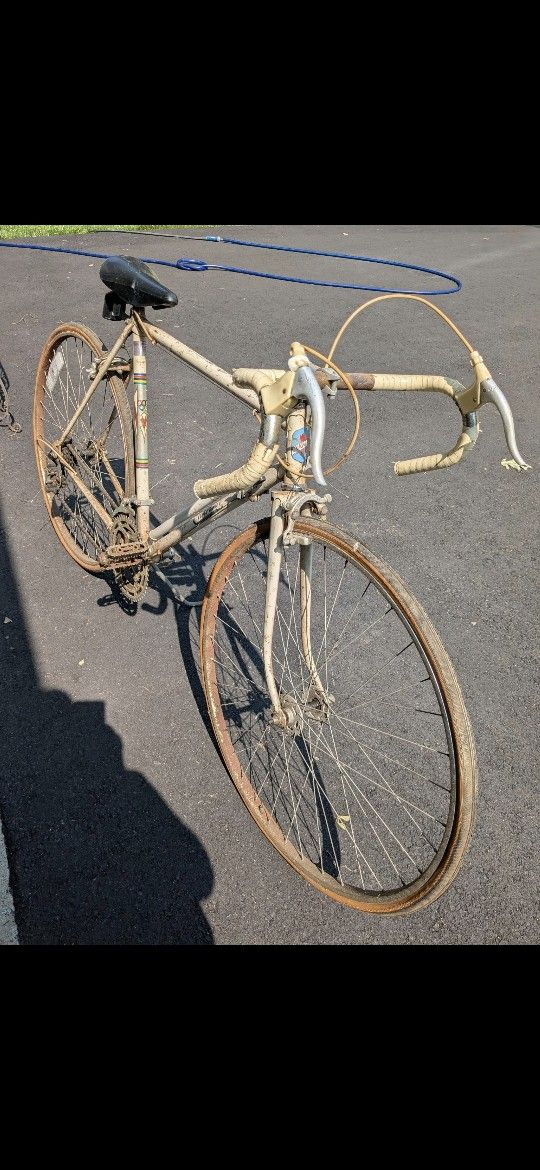 Chaplait 10 Speed Bike - French Vintage