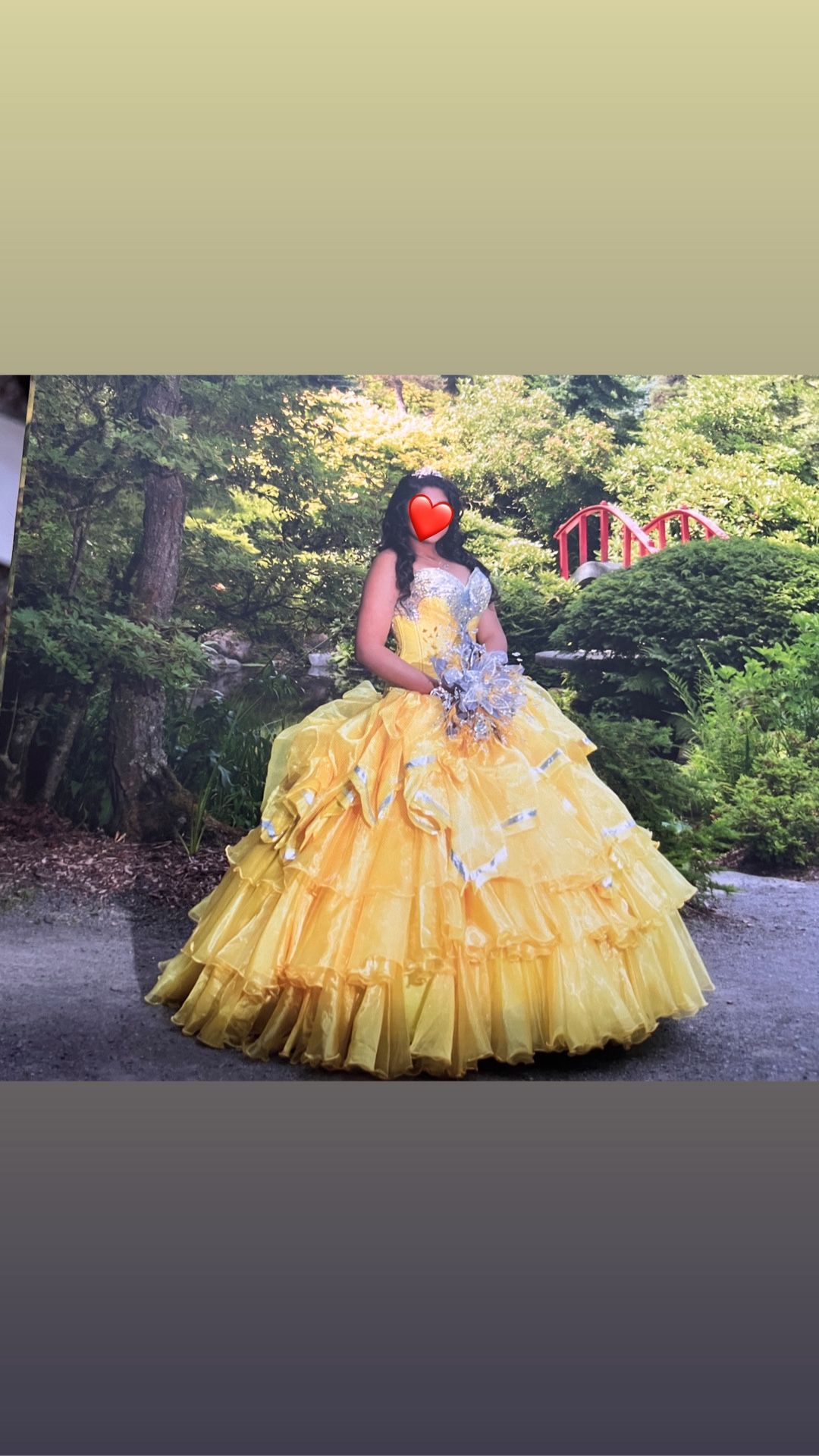 15 Quinceñeras Dress 