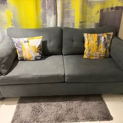 Queen sleeper pull out couch