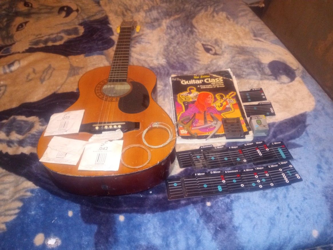 Horner Guitar And Assessors 