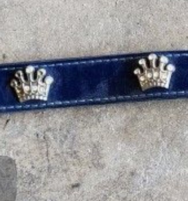 Dog Collar