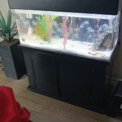 Complete 40gallon Fish Tank In OC