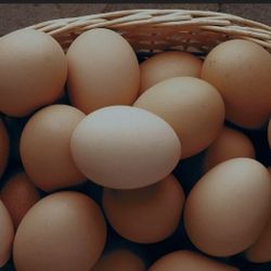 Eggs $4 a Dozen 