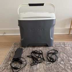 Iceless Thermoelectric Portable Cooler