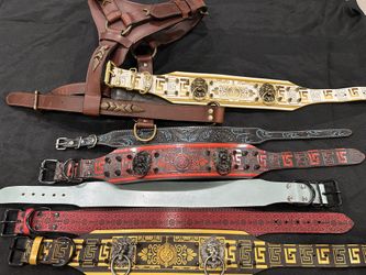 Madcow Dog Collections