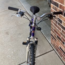 Girls diamondback bicycle in good shape