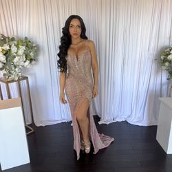 Gorgeous Pink And Silver Catwalk Couture Party Gown