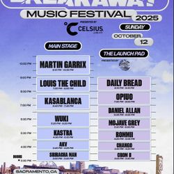 (2) Breakaway Sunday Tickets Martin Garrix