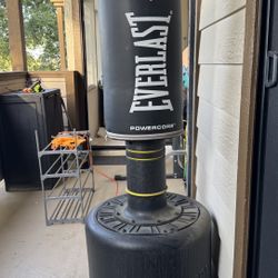 🥊 Everlast PowerCore Freestanding Punching Bag 