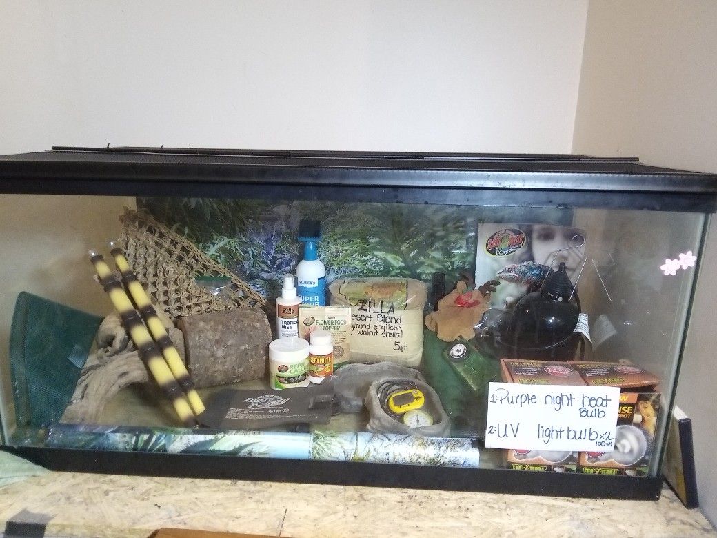 Aquarium 40 Gallon with Lizard Supplies