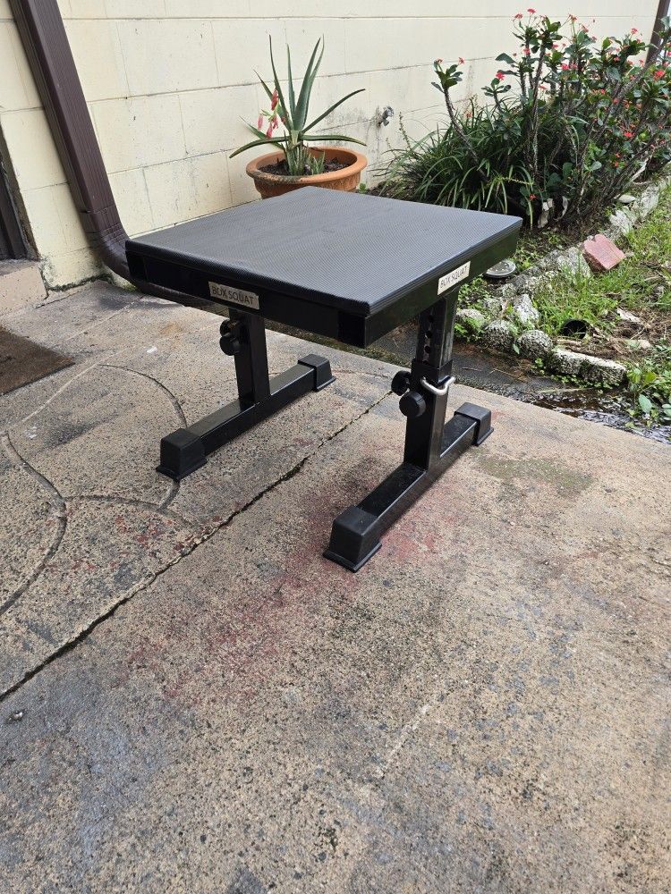 Weight Box Squat