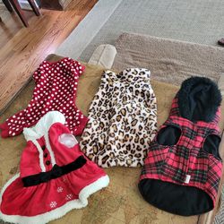 Four Medium Dog Outfits 