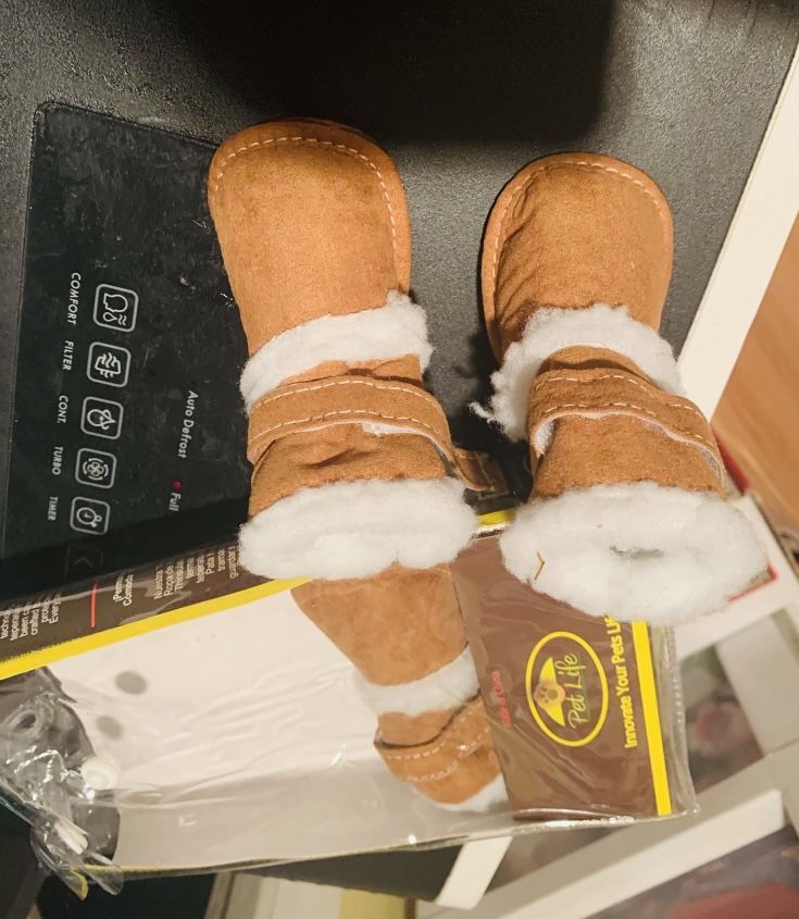 Brand new small dog shoes Just In Time For Snow