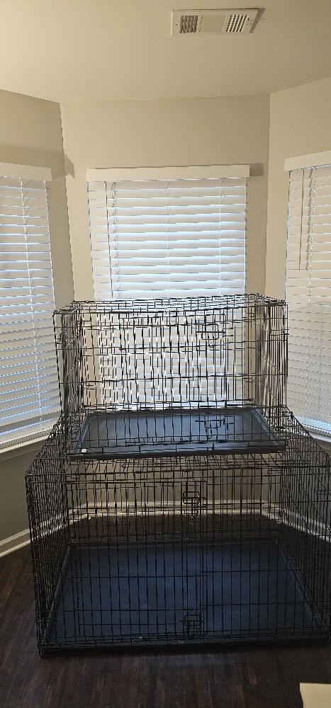 Dog Cages