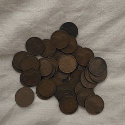 1909 First Year Of Issue Wheat Pennies