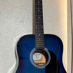 Acoustic Guitar Johnson 
