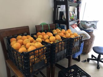 Naranjas de casa 25$ por caja