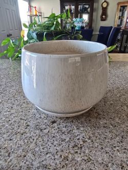 9" Plant Pot with built in Water Saucer