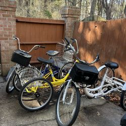 3 Adult Tricycle Bikes