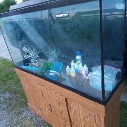 100 Gallon Fishtank And Stand 
