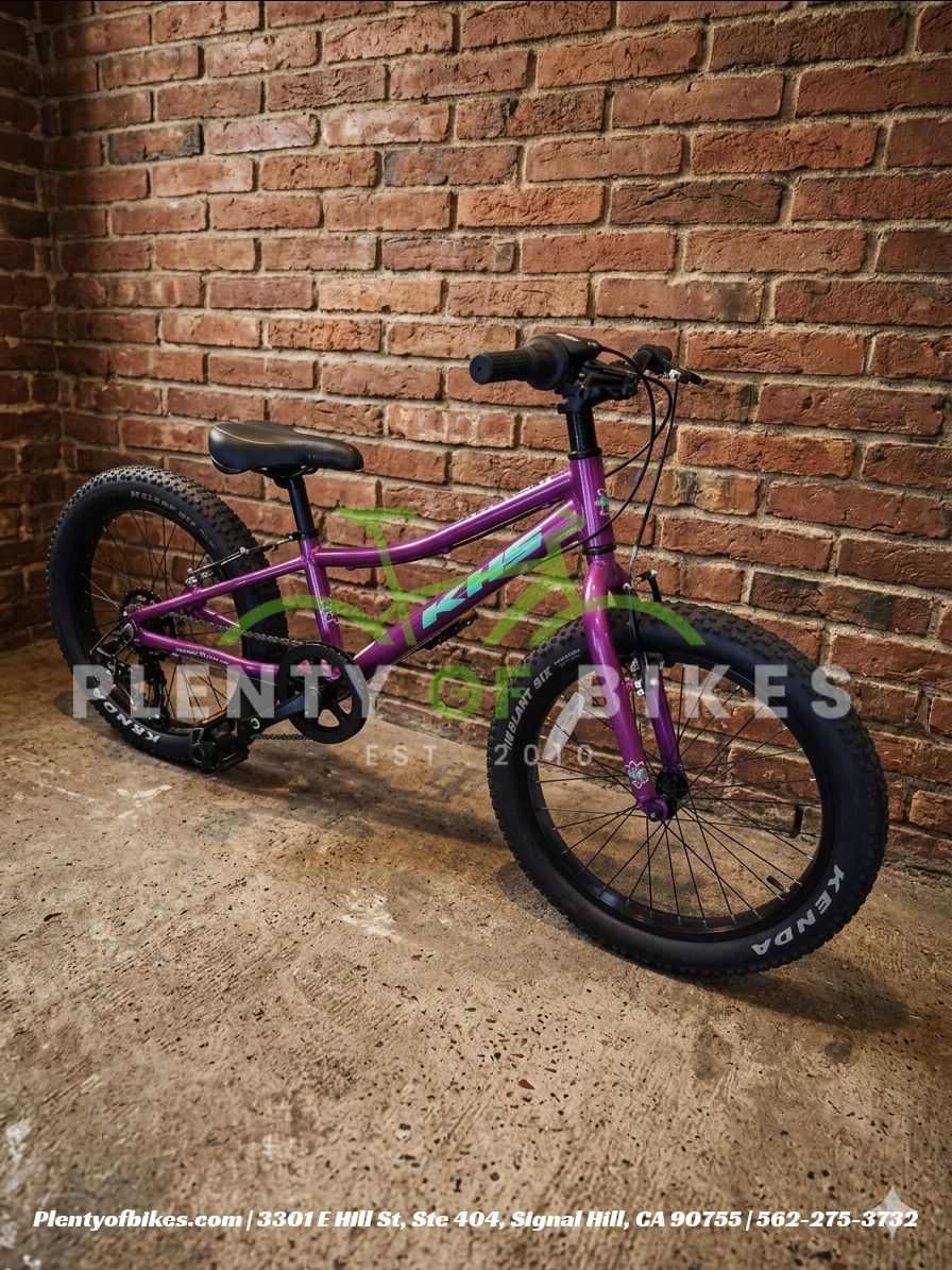 NEW RAPTOR PLUS 20 BERRY PURPLE GEARED KIDS YOUTH GIRLS MTB MTN MOUNTAIN BIKE