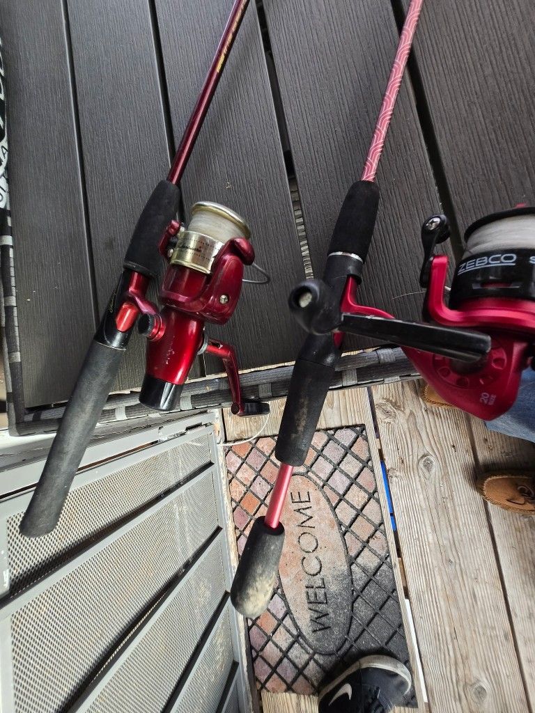 2 Fishing Poles 