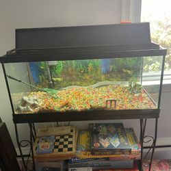 Fish tank And Metal Stand