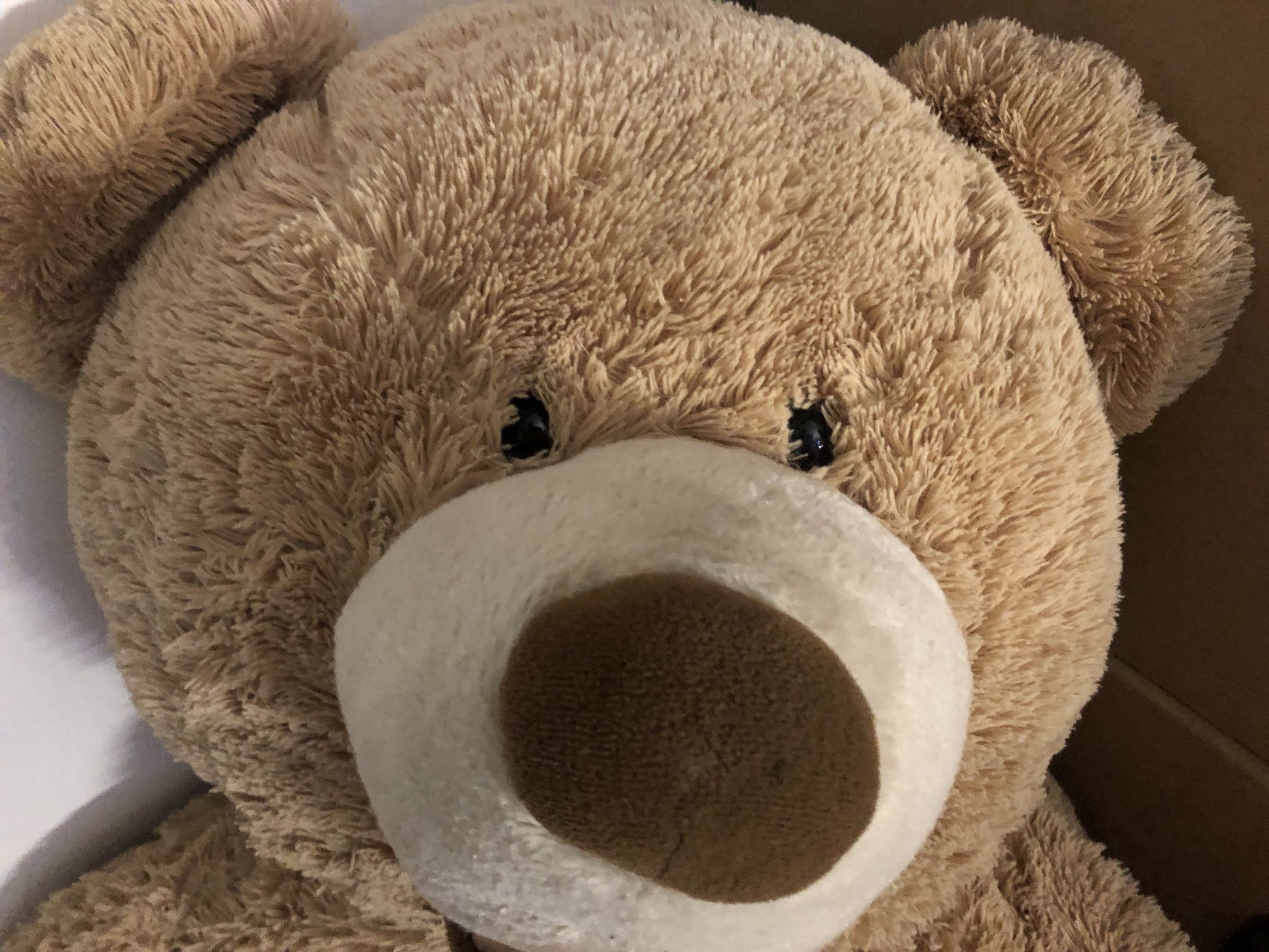 Giant Teddy Bear - Needs a “Forever Home”
