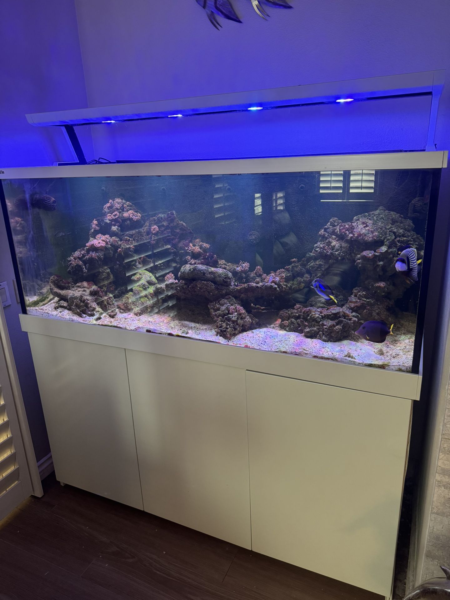 Red Sea Max S 650 Complete Reef System