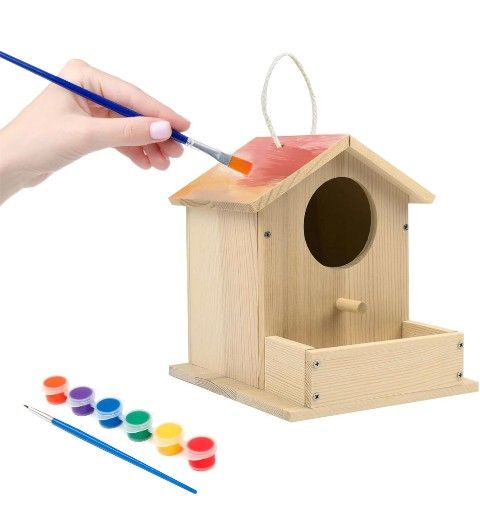Bird House Kits for Adult, Wooden DIY Birdhouse Kit, Outdoor Woodworking Crafts Freestyle Painting, Arts and Crafts Projects with Paints & Brushes, Ha