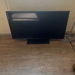 55 Inch Sceptre