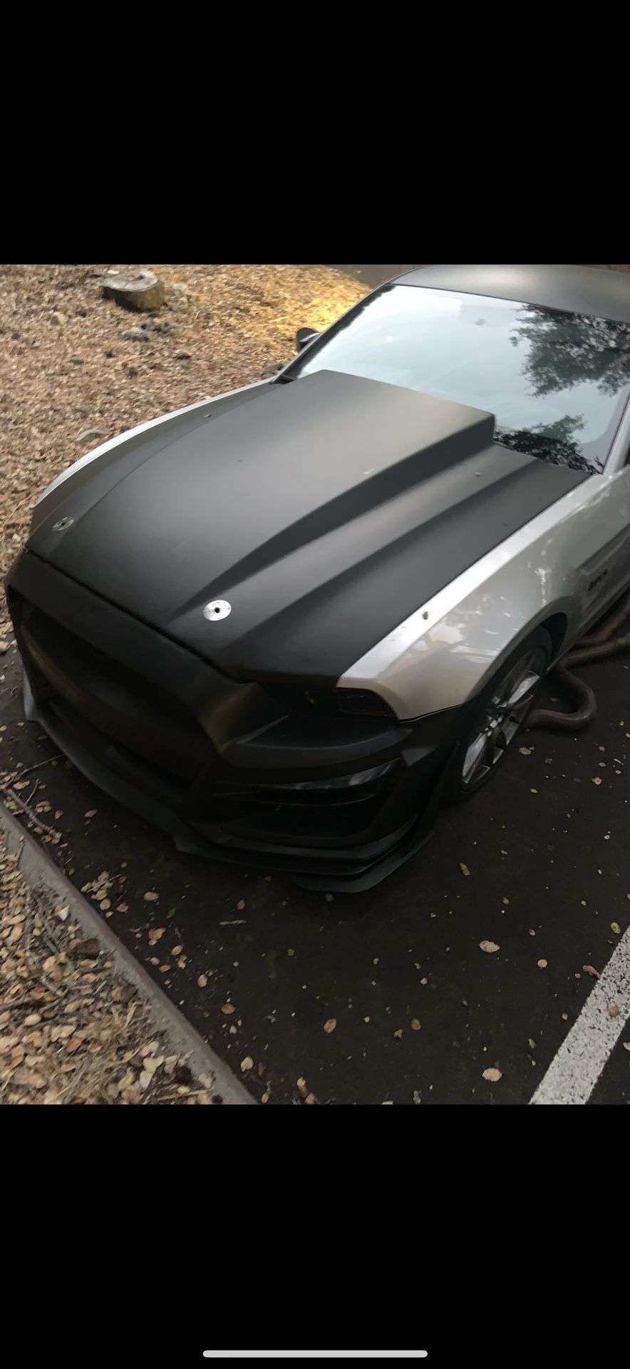 Mustang Cowl Hood