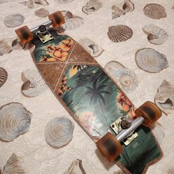 Lot of skateboards/ Globe/ Hook-up/ Bird House/ Element and more