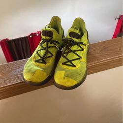 Steph Curry 6 Coy Fish